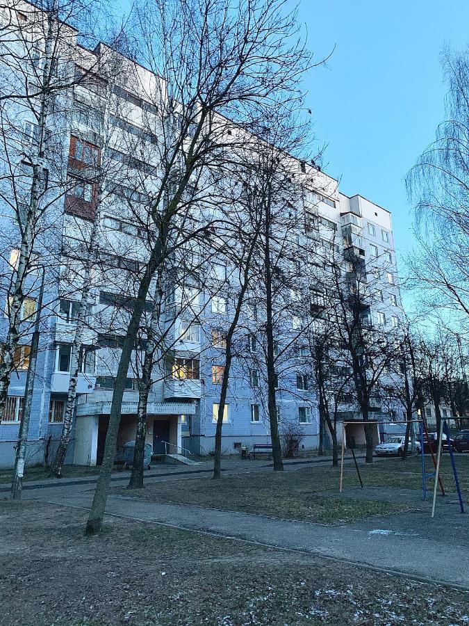 Gray Apartment Pobedy 21 Vitebsk Esterno foto